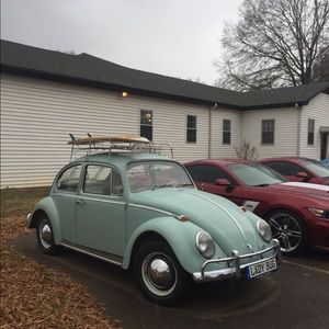 Meet your Posher, Grace